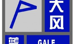 最新外网爆料平台官网,揭秘幕后真相，洞察网络舆论风云